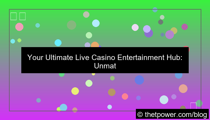 live casino entertainment hub