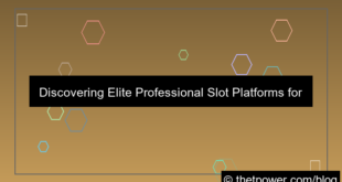 professional slot platform