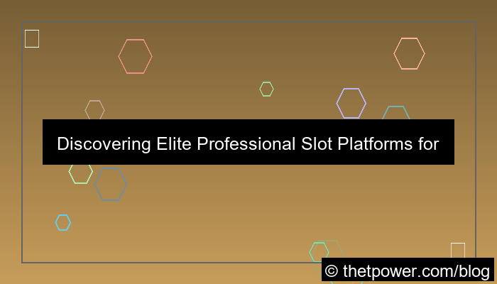 professional slot platform