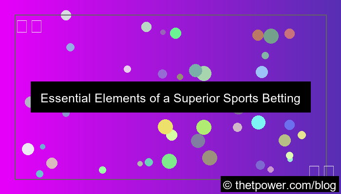 visual sports betting user interface